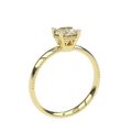 Lisa - 1 Karat Verlobungsring | 14K Gold | 1 Karat Brillant