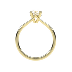 Amelia - 1ct Signature High Setting | 14K Gold | 1ct Brilliant