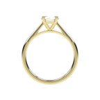 Victoria - 1ct Cathedral Setting | 14K Gold | 1ct Brilliant