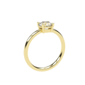 Clara - 1ct Low Setting | 14K Gold | 1ct Brilliant